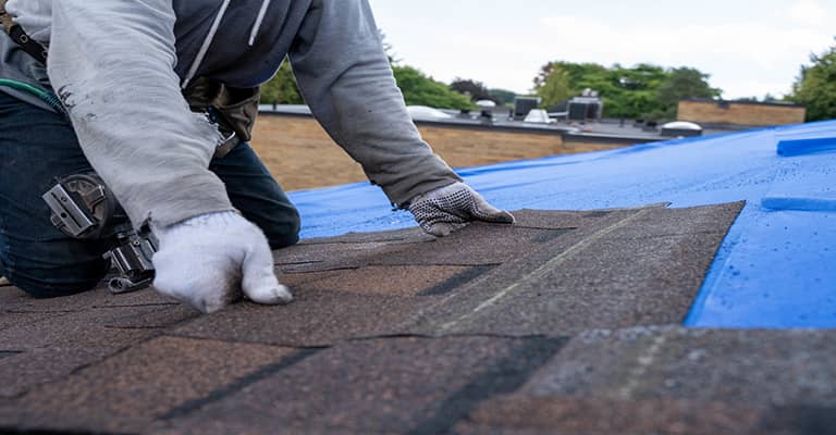 Asphalt Shingle Roof Replacement